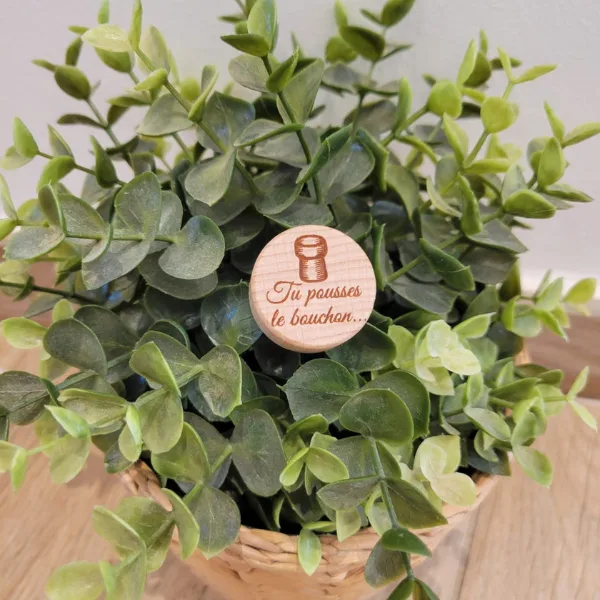 bouchon tu pousses le bouchon...