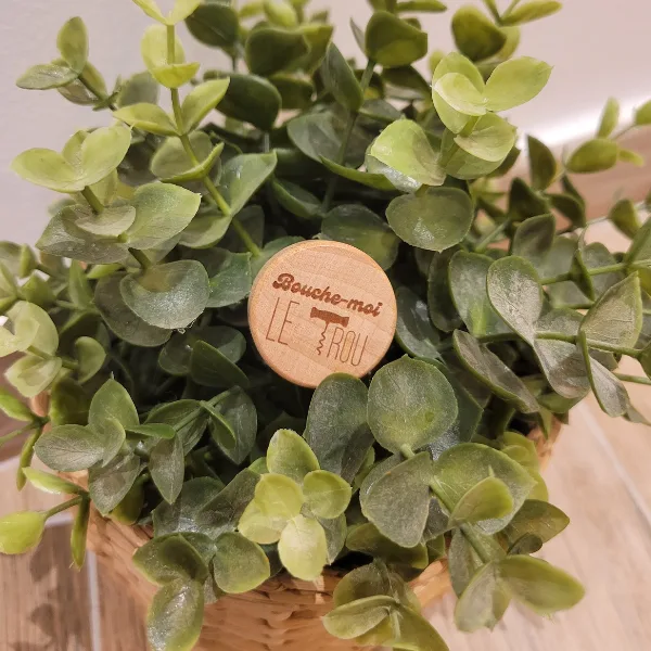 l'artisan d'oc bouchon bouche moi le trou