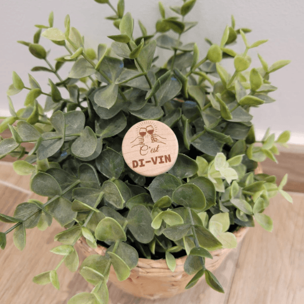 bouchon c'est dit vin