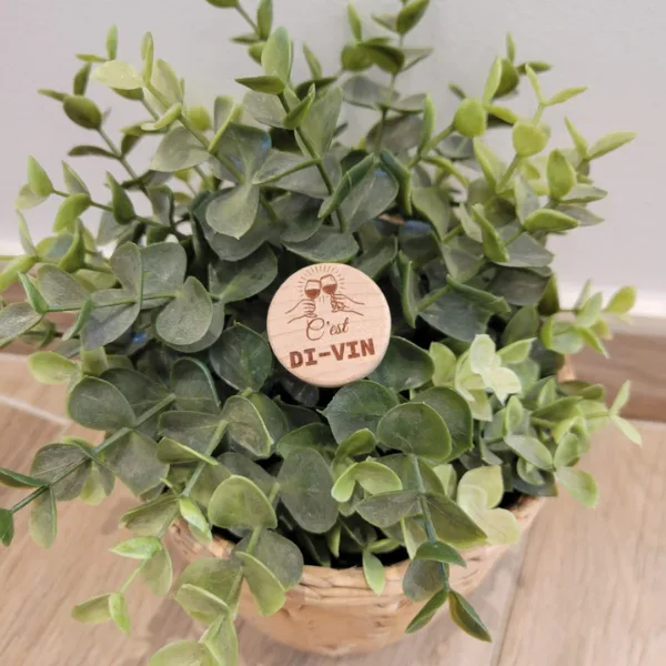 bouchon c'est dit vin