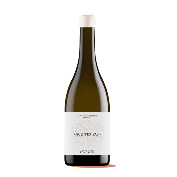 les vignobles de foncalieu sur tes pas