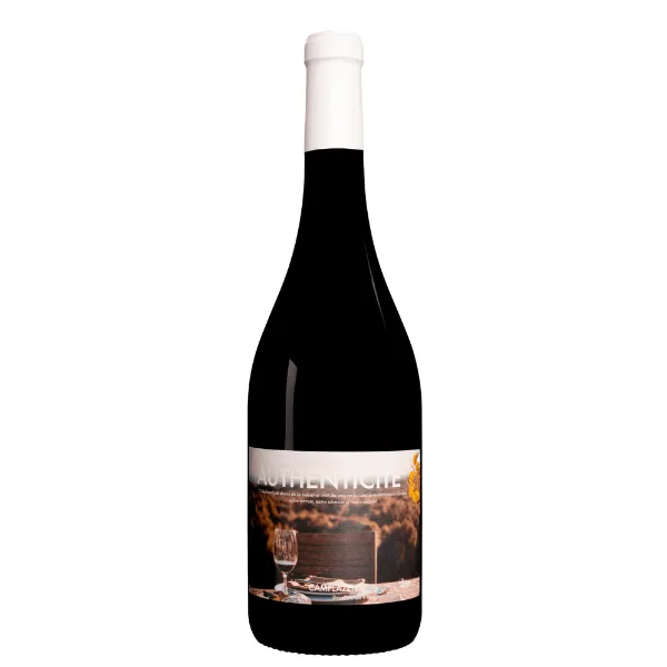 chateau camplazens authenticite