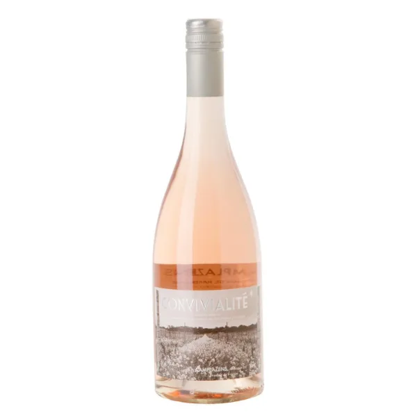 chateau camplazens convivialite