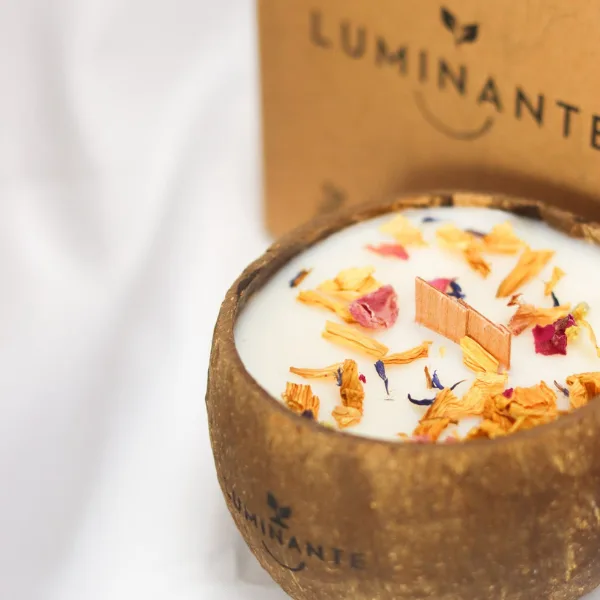 luminante la bougie qui devient plante fruits exotiques