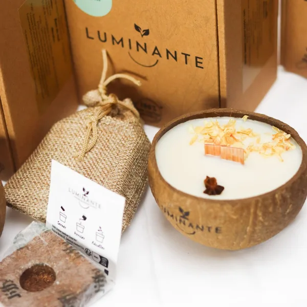 luminante la bougie qui devient plante vanille