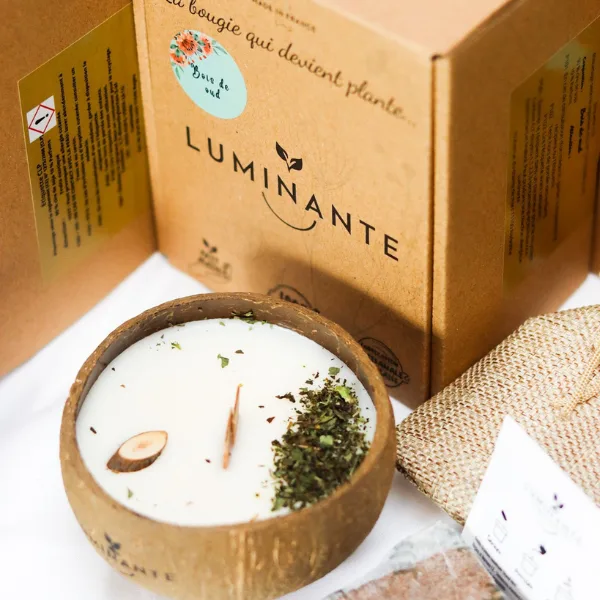 luminante la bougie qui devient plante bois de oud