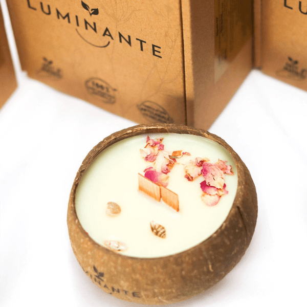 luminante la bougie qui devient plante fleur de thiare
