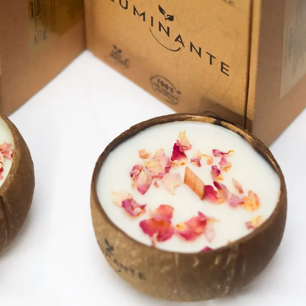 luminante la bougie qui devient plante fleur de cerisier